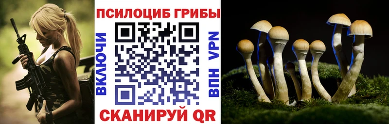 Купить где  Обь  Псилоцибиновые грибы GOLDEN TEACHER 